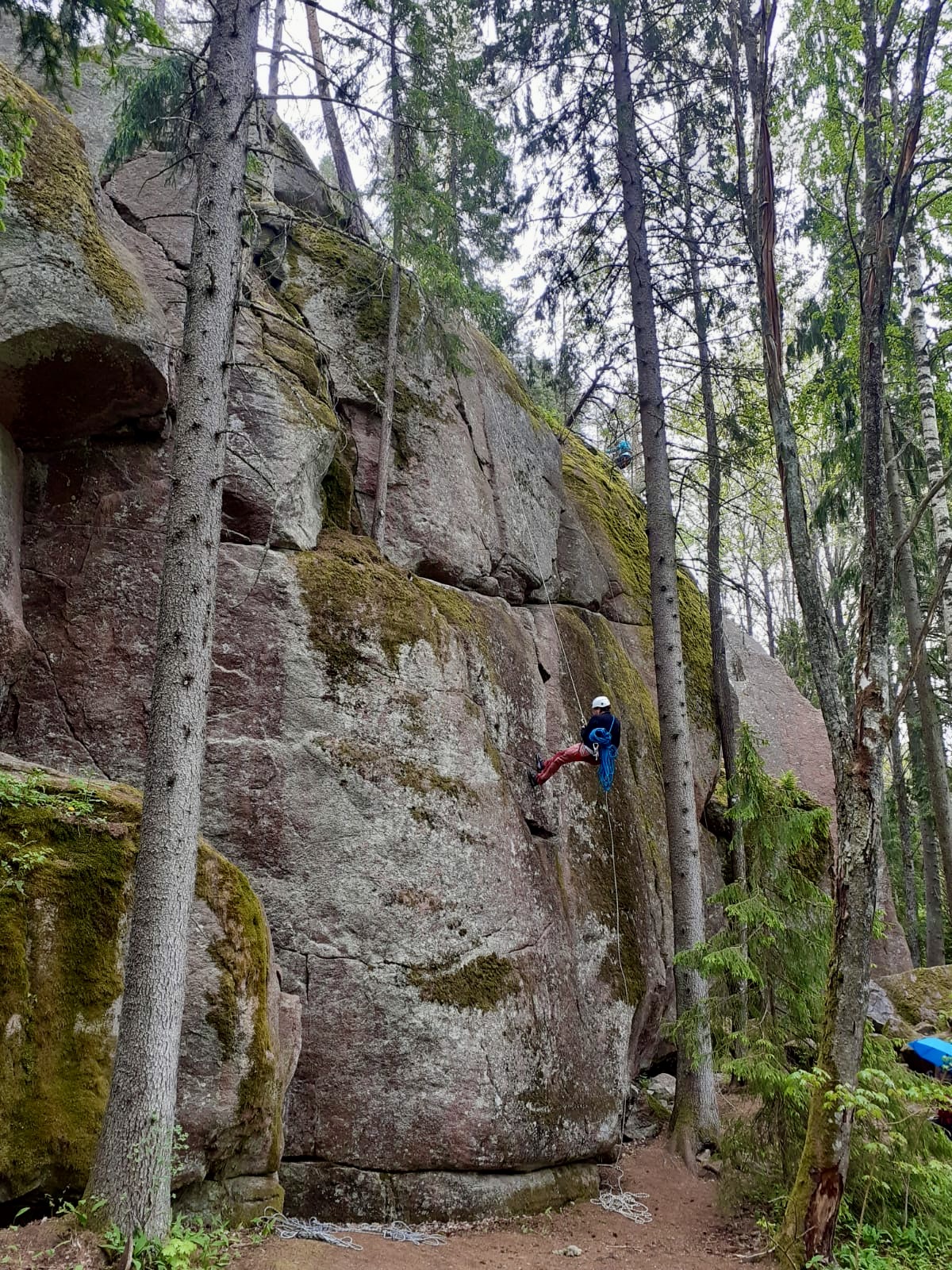 A person is rappeling down a tall rock wall in a forest