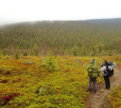 Forest fells outdoor expedition lapland