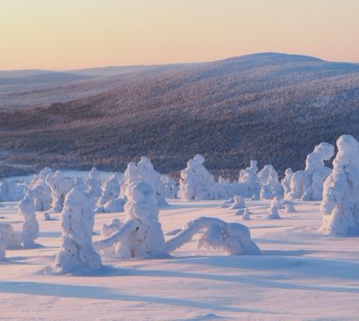 Winter scenery Finnish lapland