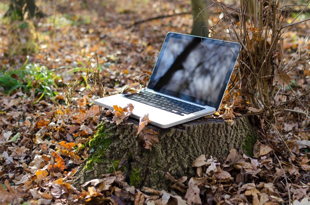 A laptop placed on a tree stump surrounded by leaves. 