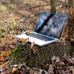 A laptop placed on a tree stump surrounded by leaves.