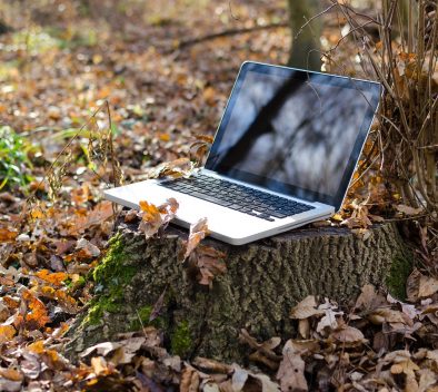 A laptop placed on a tree stump surrounded by leaves.
