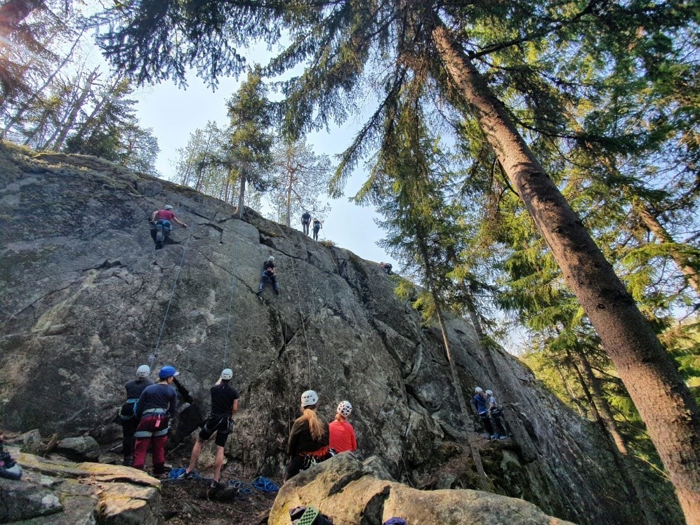 A group climbing up a perpendicular rock, which is surrounded by trees.