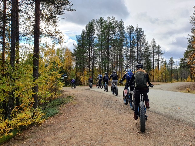 A group of students riding through a forest road on fatbikes.